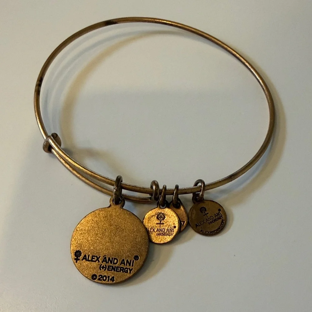 Alex and Ani Gold-Tone Love Charm Bracelet